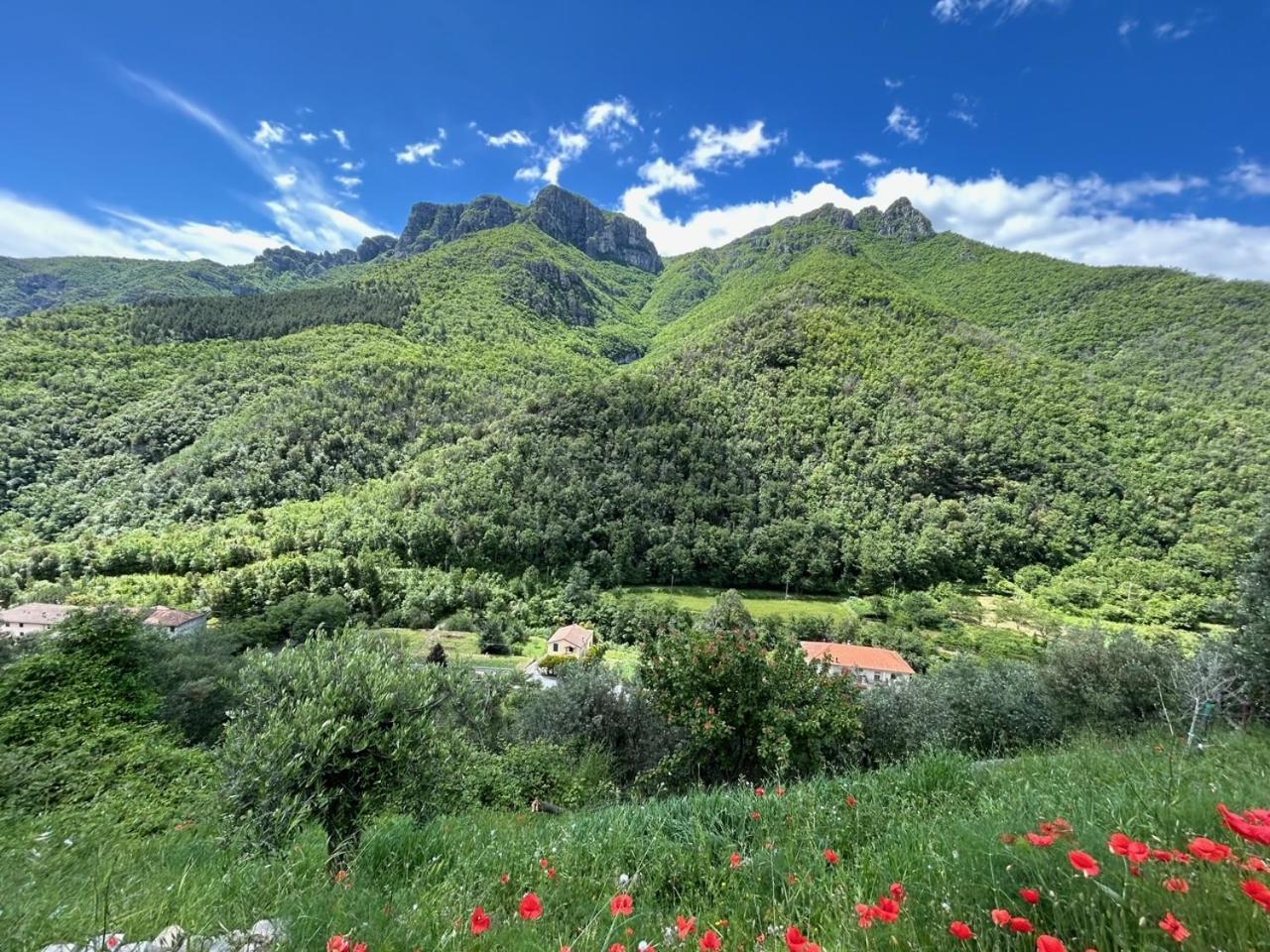 Castelletto With Mountain View Διαμέρισμα Colletta Εξωτερικό φωτογραφία